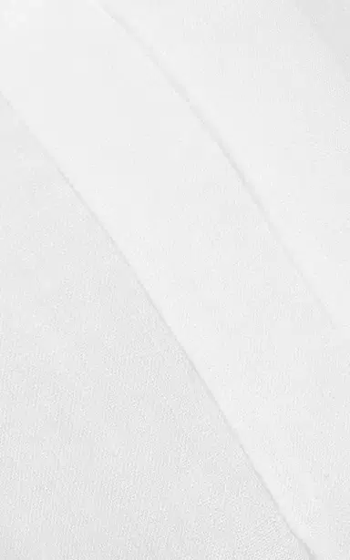 Citizens of Humanity Riviera Pleated Linen Cropped Palazzo Pants | Thumbnail 5 Citizens of Humanity Riviera Pleated Linen Cropped Palazzo Pants | Thumbnail 5