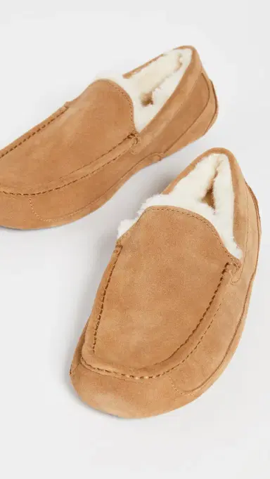 UGG Ascot Slippers Chestnut | Thumbnail 3 UGG Ascot Slippers Chestnut | Thumbnail 3