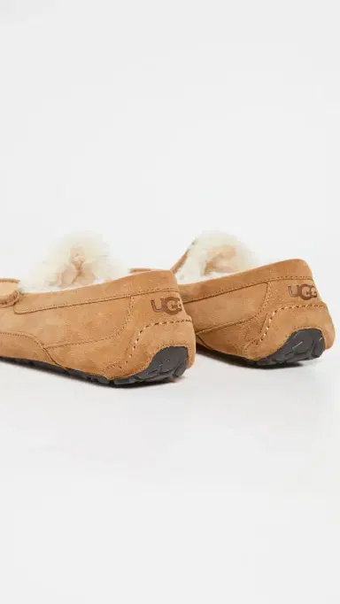 UGG Ascot Slippers Chestnut | Thumbnail 5 UGG Ascot Slippers Chestnut | Thumbnail 5