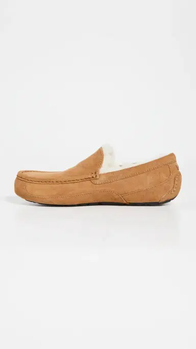 UGG Ascot Slippers Chestnut | Thumbnail 6 UGG Ascot Slippers Chestnut | Thumbnail 6