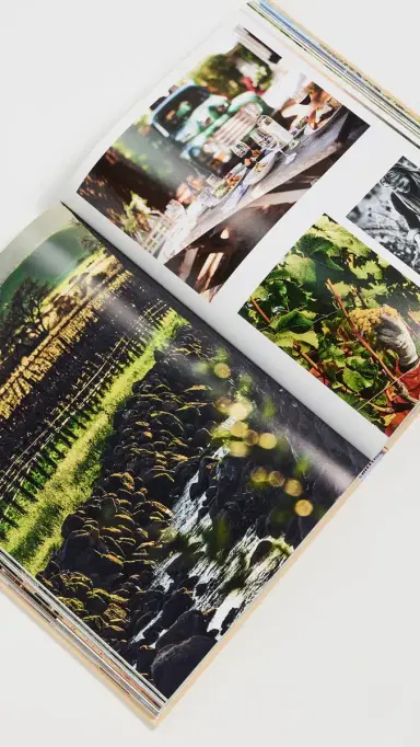 ASSOULINE Wine & Travel United States Book | Thumbnail 4 ASSOULINE Wine & Travel United States Book | Thumbnail 4