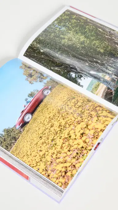 Assouline Provence Glory Book Purple One Size | Thumbnail 5 Assouline Provence Glory Book Purple One Size | Thumbnail 5