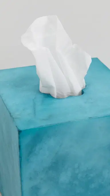 Kassatex Shopbop x Tissue Holder Azure One Size | Thumbnail 5 Kassatex Shopbop x Tissue Holder Azure One Size | Thumbnail 5
