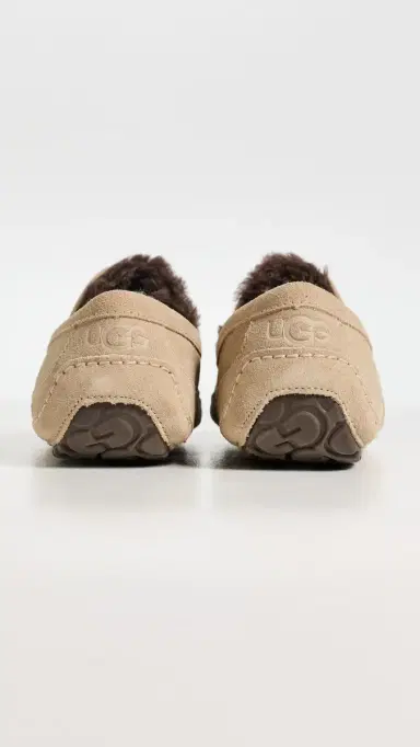 UGG Ascot Slippers Mustard Seed/Molasses | Thumbnail 3 UGG Ascot Slippers Mustard Seed/Molasses | Thumbnail 3