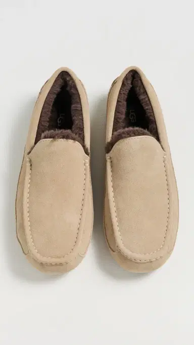 UGG Ascot Slippers Mustard Seed/Molasses | Thumbnail 4 UGG Ascot Slippers Mustard Seed/Molasses | Thumbnail 4