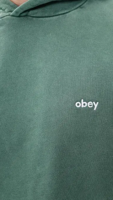 Obey Lowercase Pigment Hoodie Pigment Pine Needle | Thumbnail 6 Obey Lowercase Pigment Hoodie Pigment Pine Needle | Thumbnail 6