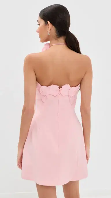 Leo Lin Roselle Applique Bustier Mini Dress Blush Pink | Thumbnail 3 Leo Lin Roselle Applique Bustier Mini Dress Blush Pink | Thumbnail 3