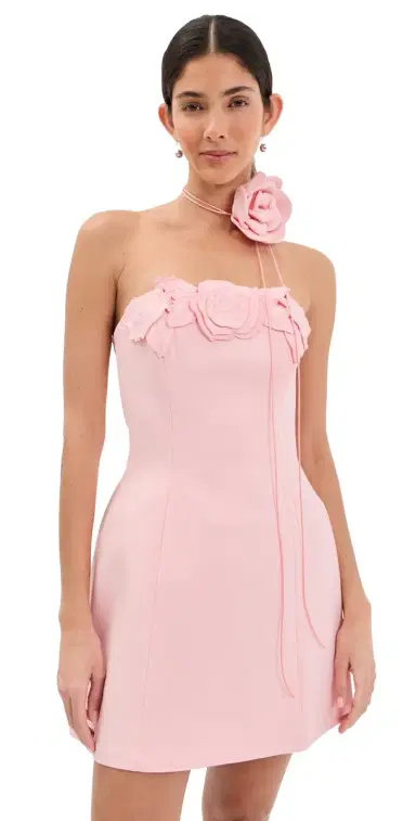 Leo Lin Roselle Applique Bustier Mini Dress Blush Pink | Thumbnail 1 Leo Lin Roselle Applique Bustier Mini Dress Blush Pink | Thumbnail 1