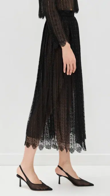 Self-Portrait Black Organza Lace Midi Skirt Black | Thumbnail 4 Self-Portrait Black Organza Lace Midi Skirt Black | Thumbnail 4