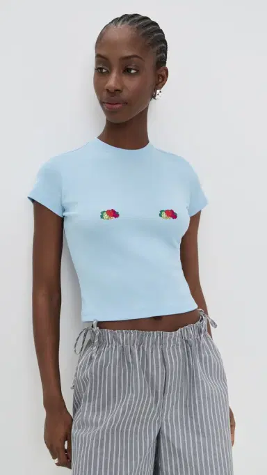 Hommegirls Homme Girls x Fruit of The oom Baby Tee With Double Logo Baby Blue w/ Fruit Clusters | Thumbnail 2 Hommegirls Homme Girls x Fruit of The oom Baby Tee With Double Logo Baby Blue w/ Fruit Clusters | Thumbnail 2
