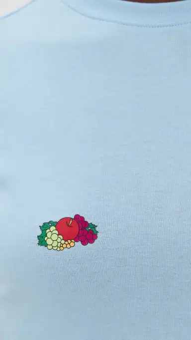 Hommegirls Homme Girls x Fruit of The oom Baby Tee With Double Logo Baby Blue w/ Fruit Clusters | Thumbnail 6 Hommegirls Homme Girls x Fruit of The oom Baby Tee With Double Logo Baby Blue w/ Fruit Clusters | Thumbnail 6