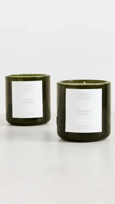 Flamingo Estate Climbing Tuscan Rosemary Candle Green One Size | Thumbnail 4 Flamingo Estate Climbing Tuscan Rosemary Candle Green One Size | Thumbnail 4