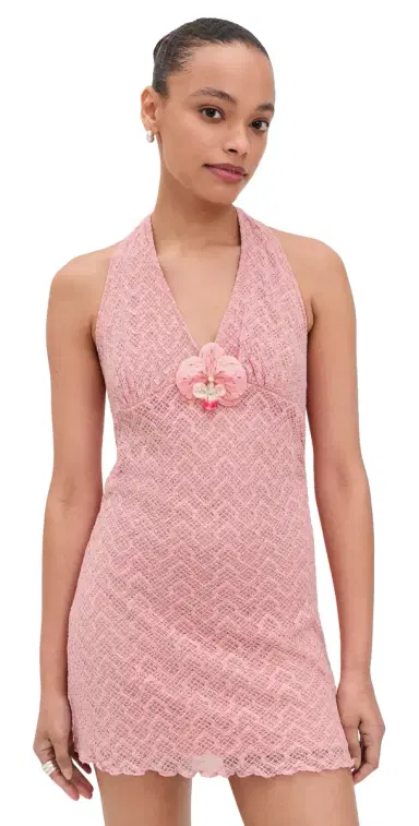 Bailey Rose Pink Mini Dress Rose | Thumbnail 1 Bailey Rose Pink Mini Dress Rose | Thumbnail 1