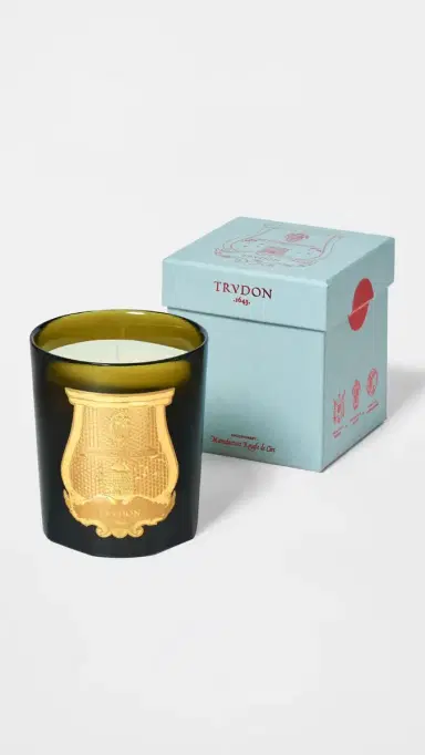 Trudon Ernesto Candle Leather and Tobacco 270 mL | Thumbnail 4 Trudon Ernesto Candle Leather and Tobacco 270 mL | Thumbnail 4