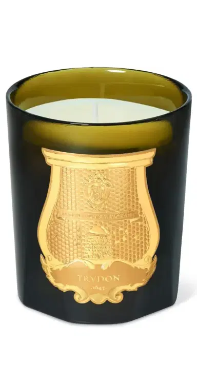 Trudon Ernesto Candle Leather and Tobacco 270 mL | Thumbnail 1 Trudon Ernesto Candle Leather and Tobacco 270 mL | Thumbnail 1