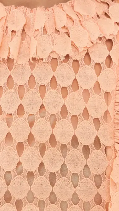 Ulla Johnson Daevy Silk-Lined Lace Top Blush 2 | Thumbnail 6 Ulla Johnson Daevy Silk-Lined Lace Top Blush 2 | Thumbnail 6