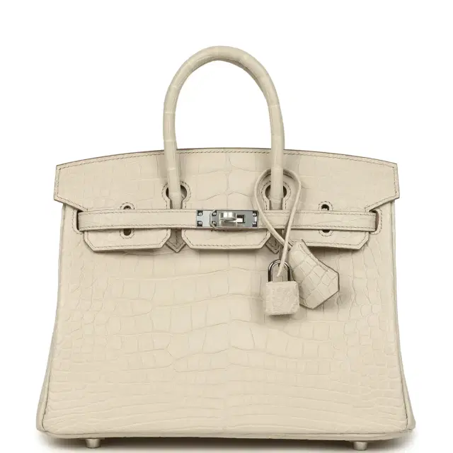 Hermes Birkin 25 Beton Matte Alligator Palladium Hardware Hermes Birkin 25 Beton Matte Alligator Palladium Hardware