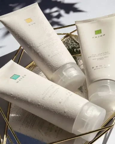 Zents 6 oz. Anjou Age Defying Probiotic Lotion | Thumbnail 2 Zents 6 oz. Anjou Age Defying Probiotic Lotion | Thumbnail 2