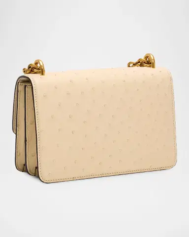 Valentino Garavani Vain Ostrich Leather Shoulder Bag | Thumbnail 3 Valentino Garavani Vain Ostrich Leather Shoulder Bag | Thumbnail 3