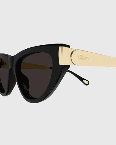 Chloé Holly 54mm Acetate & Metal Cat-Eye Sunglasses | Thumbnail 3 Chloé Holly 54mm Acetate & Metal Cat-Eye Sunglasses | Thumbnail 3