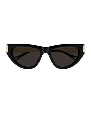 Chloé Holly 54mm Acetate & Metal Cat-Eye Sunglasses | Thumbnail 1 Chloé Holly 54mm Acetate & Metal Cat-Eye Sunglasses | Thumbnail 1