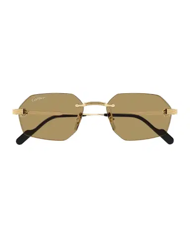 Cartier Men 's CT0616S-002 Metal Rectangle Sunglasses | Thumbnail 1 Cartier Men 's CT0616S-002 Metal Rectangle Sunglasses | Thumbnail 1