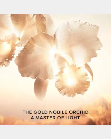 Guerlain Orchidee Imperiale Gold Nobile The Goldessence, 4.7 oz. | Thumbnail 6 Guerlain Orchidee Imperiale Gold Nobile The Goldessence, 4.7 oz. | Thumbnail 6