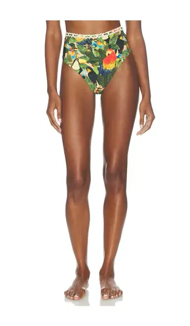 Farm Rio Bird Leaves High Waist Bikini Bottom | Thumbnail 1 Farm Rio Bird Leaves High Waist Bikini Bottom | Thumbnail 1