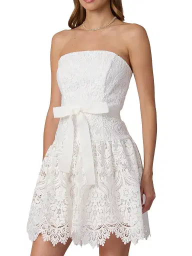 Shoshanna Women's Ester Lace Strapless Minidress - Porcelain | Thumbnail 4 Shoshanna Women's Ester Lace Strapless Minidress - Porcelain | Thumbnail 4