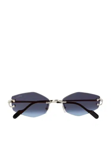 Cartier Eyewear Round-Frame Silver-Tone and Acetate Sunglasses - Men | Thumbnail 1 Cartier Eyewear Round-Frame Silver-Tone and Acetate Sunglasses - Men | Thumbnail 1