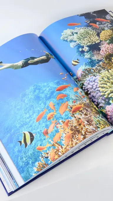 Assouline Ocean Wanderlust Book Blue One Size | Thumbnail 4 Assouline Ocean Wanderlust Book Blue One Size | Thumbnail 4