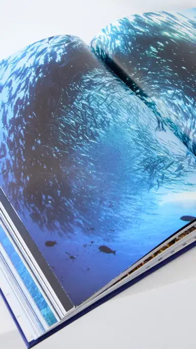 Assouline Ocean Wanderlust Book Blue One Size | Thumbnail 5 Assouline Ocean Wanderlust Book Blue One Size | Thumbnail 5