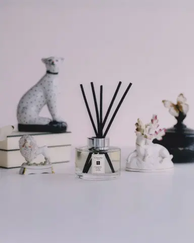 Jo Malone London 5.6 oz. English Pear and Freesia Diffuser | Thumbnail 3 Jo Malone London 5.6 oz. English Pear and Freesia Diffuser | Thumbnail 3
