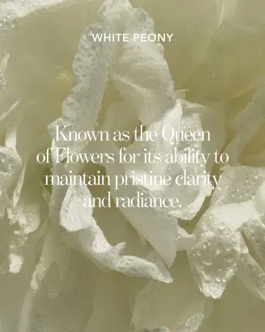 Chantecaille Blanc Peony Overnight Mask, 1.7 oz. | Thumbnail 8 Chantecaille Blanc Peony Overnight Mask, 1.7 oz. | Thumbnail 8