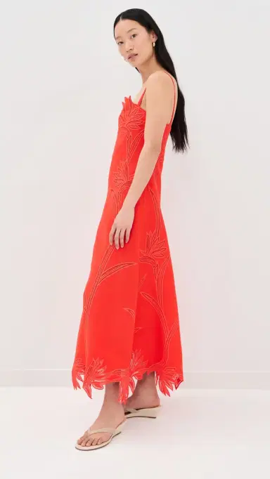 Simkhai Ellery Embroidered Bustier Midi Dress Lobster | Thumbnail 4 Simkhai Ellery Embroidered Bustier Midi Dress Lobster | Thumbnail 4