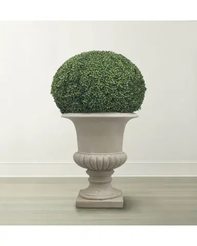 Winward Home Boxwood Ball in Urn | Thumbnail 2 Winward Home Boxwood Ball in Urn | Thumbnail 2