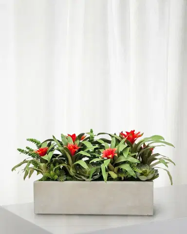 Winward Home Bromeliads & Succulents 38" Faux Floral Arrangement in Fiberglass Planter | Thumbnail 1 Winward Home Bromeliads & Succulents 38" Faux Floral Arrangement in Fiberglass Planter | Thumbnail 1