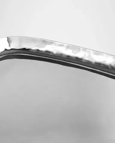 Michael Aram Reflective Small Platter | Thumbnail 2 Michael Aram Reflective Small Platter | Thumbnail 2