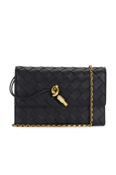 Bottega Veneta Andiamo Wallet On Chain Bag | Thumbnail 1 Bottega Veneta Andiamo Wallet On Chain Bag | Thumbnail 1