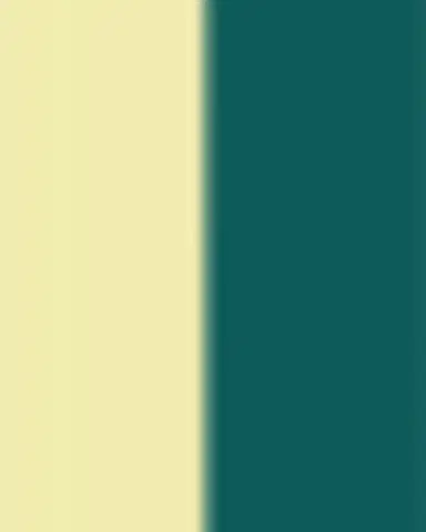 GINORI 1735 Florenza Acanto Dinner Plate | Thumbnail 3 GINORI 1735 Florenza Acanto Dinner Plate | Thumbnail 3