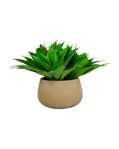 Winward Home 25" Aloe in Stonecast Planter | Thumbnail 2 Winward Home 25" Aloe in Stonecast Planter | Thumbnail 2