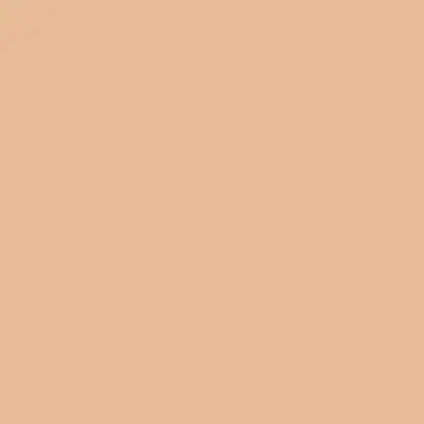 Wacoal Understated High-Rise Stretch Cotton Briefs | Thumbnail 5 Wacoal Understated High-Rise Stretch Cotton Briefs | Thumbnail 5