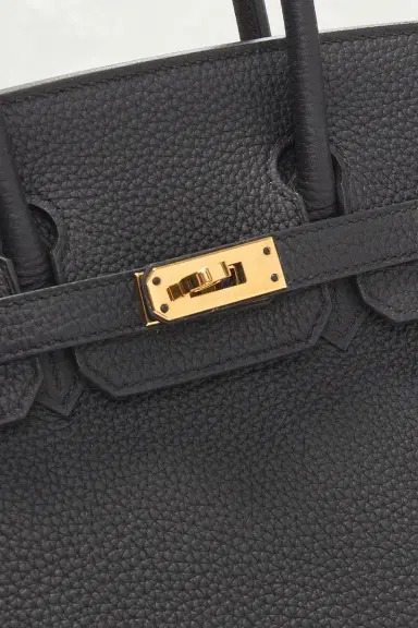 hermes Hermes Togo Birkin 25 Handbag | Thumbnail 5 hermes Hermes Togo Birkin 25 Handbag | Thumbnail 5