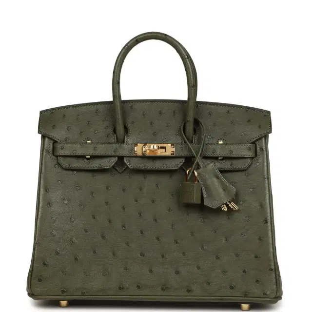 Pre-owned Hermes Birkin 25 Vert Veronese Ostrich Gold Hardware Pre-owned Hermes Birkin 25 Vert Veronese Ostrich Gold Hardware