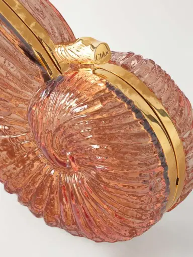 Chloé Sea Treasures Plexiglass And Gold-tone Clutch Bag | Thumbnail 5 Chloé Sea Treasures Plexiglass And Gold-tone Clutch Bag | Thumbnail 5