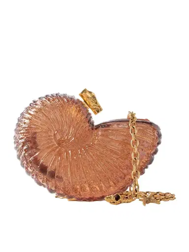 Chloé Sea Treasures Plexiglass And Gold-tone Clutch Bag | Thumbnail 1 Chloé Sea Treasures Plexiglass And Gold-tone Clutch Bag | Thumbnail 1
