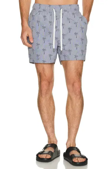 Onia Charles 5 Swim Trunk | Thumbnail 1 Onia Charles 5 Swim Trunk | Thumbnail 1