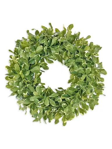 Winward Home Everyday Newness Refresh Pittosporum Spray Wreath | Thumbnail 1 Winward Home Everyday Newness Refresh Pittosporum Spray Wreath | Thumbnail 1