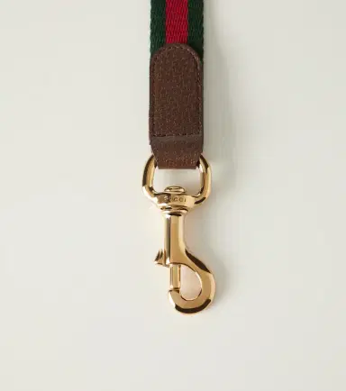 Gucci Web Stripe L dog leash | Thumbnail 4 Gucci Web Stripe L dog leash | Thumbnail 4