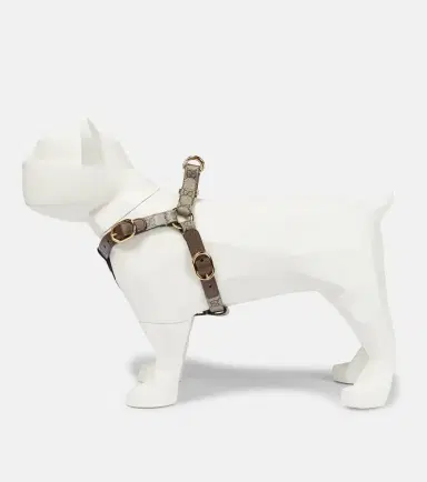 Gucci GG Supreme S/M dog harness | Thumbnail 2 Gucci GG Supreme S/M dog harness | Thumbnail 2